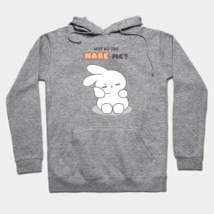 Funny bunny puns, Why no one Hare me? Hoodie